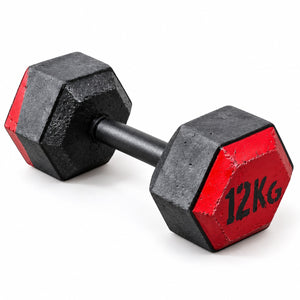 Masses de musculation hexagonales (vendues par paire)