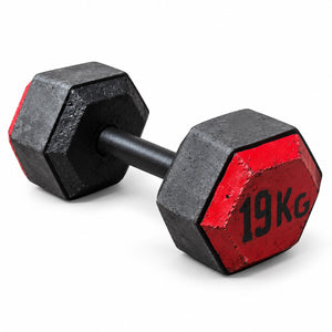 Masses de musculation hexagonales (vendues par paire)