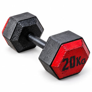 Masses de musculation hexagonales (vendues par paire)