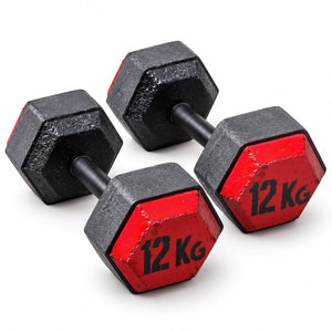 Masses de musculation hexagonales (vendues par paire)