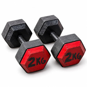 Masses de musculation hexagonales (vendues par paire)